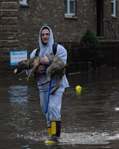 man rescuing dog