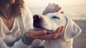 woman with dog 2