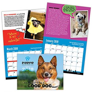 Calendar Colage for June 2018 newsletter