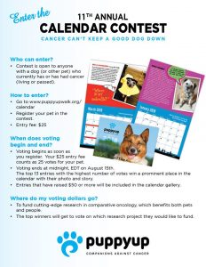 2019 calendar promo jpg