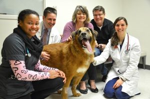 Photo: Jake Pratt, a 5-year-old shepherd mix, is discharged from the Veterinary Teaching Hospital at Virginia Tech after undergoing surgery. Jake is with his care team and owners, from left to right, veterinary student Meliasa Robinson, Dr. John Rossmeisl, Teresa and Todd Pratt, of Knoxville, Tenn., and veterinary student Katelyn Somers. Rossmeisl grew up in West Springfield and is an alumnus of Cathedral High School. (VIRGINIA-MARYLAND COLLEGE OF VETERINARY MEDICINE / VIRGINIA TECH )