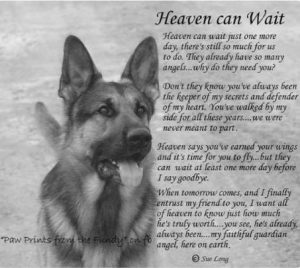 heaven can wait