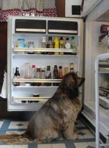 looking in fridge