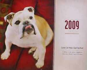 princess Daisy -- 2009. Our very first Cover Dog.