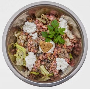 Dog-Food-Storage