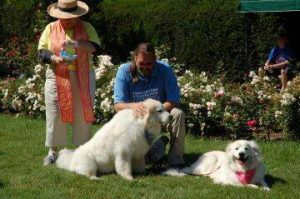Pictured with Luke Robinson, Murphy, and Hudson, is the Reverend Pattie Handloss. retired associate vicar of the Old North Church in the North End, and Animal Rescue League of Boston overseer. The Reverend Handloss officiated at the Blessing of the Animals on Saturday, June 19, 2010 as part of the celebration of Luke and The Boys finishing their 826 days and 2301 mile journey from Austin to Boston. For the complete blog article, please follow this link. https://2dogs2000miles.blogspot.com/search?q=blessing+of+the+animals 