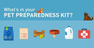 Prepare-for-Pet-Emergency-Kit