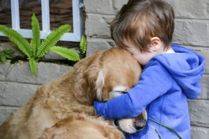 Little boy showing affection and love for his best friend, a cuddly golden retriever.