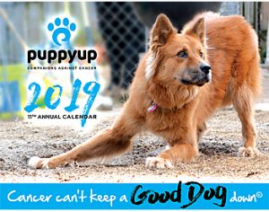 2019 Puppy Up Calendar now available