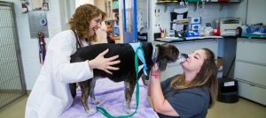 Jennifer Mahoney, a medical oncologist, and Stephanie Corsi, a certified veterinary technician, share some cuddles with Giada at Penn Vet’s Ryan Hospital.
