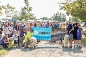 Puppy-Up-cancer-walk_Nashville article