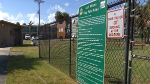 Cancer-causing chemicals were found in the well water at Lori Wilson Dog Park in Cocoa Beach. (Krystel Knowles, staff)