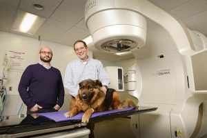 Dr. Arta Monjazeb, a human radiation oncologist, and Dr. Michael Kent, veterinary oncologist, collaborate on clinical trials at UC Davis School of Veterinary Medicine to improve the lives of canine and human patients. Photo courtesy UC-Davis.