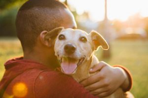 Dogs can help researchers understand how environmental factors influence cancer development and treatment. (Getty Images)