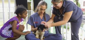The SVM Shelter Medicine Program, together with the Wisconsin Humane Society, has since 2016 conducted door-to-door outreach and veterinary house calls in several Milwaukee neighborhoods where veterinary clinics and other pet resources are limited or non-existent. This summer, the same initiative was launched in South Madison in partnership with the Dane County Humane Society. (Photo: Wisconsin Humane Society)