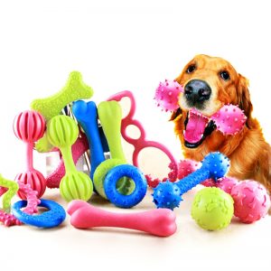 dog with toys