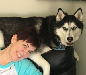 Stephanie Herfel relaxes with her Siberian husky, Sierra. The dog's nose detected a scent in Herfel's abdomen that was diagnosed to be ovarian cancer. Sierra acted strangely on two subsequent occasions, and both turned out to be reccurrences of cancer.(Photo: Courtesy of Stephanie Herfel)