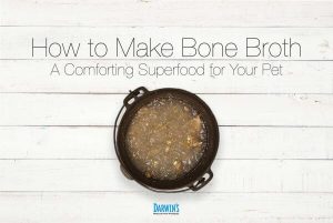 bonebrothforpets-600x402