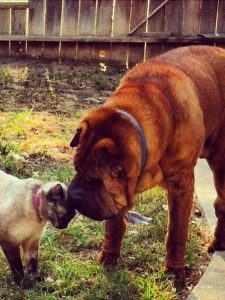 Mauser Lopez and his friend.
