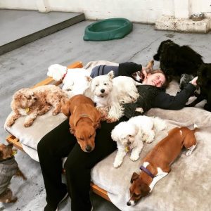 dogcuddle6