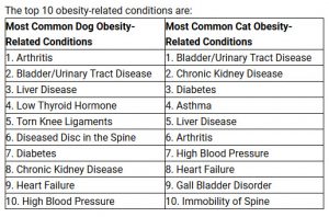 top 10 obesity related conditions