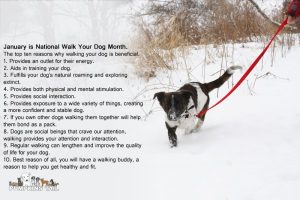walk