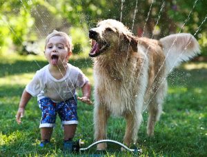 The unbridled joy of a dog and his child should never be interrupted by cancer.