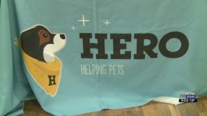 Hero - helping pets - Benkleman article