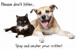 World-Spay-Day
