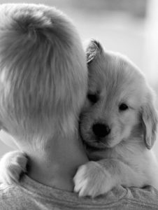 boy hugging puppy