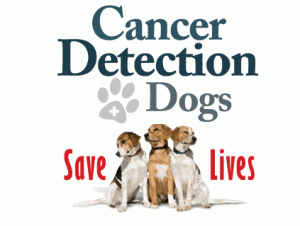 cancer detection dogs