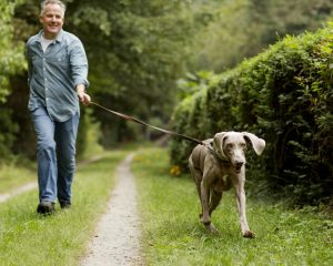 man walking eager dog