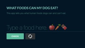 what foods can my dog eat