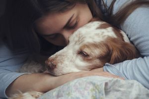 Financial-Aid-Services-for-Dog-and-Vets