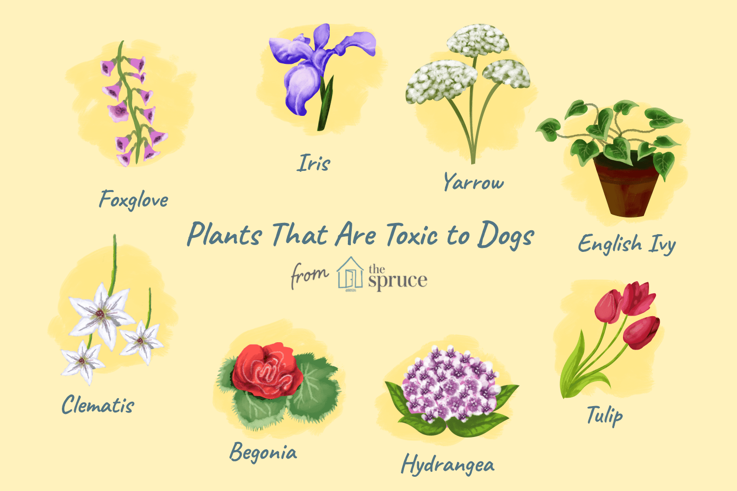 С английского на русский plant. Растения на английском. Цветок to be. Toxic Plants. Lovely растения.