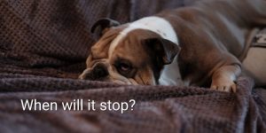 When-will-it-stop