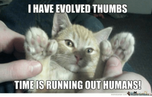 evolved thumbs