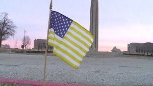 k9-veterans-day flag