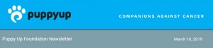 newsletter banner