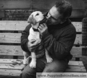 puppies behind bars 2