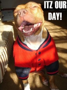 National Pet Day_Its our day