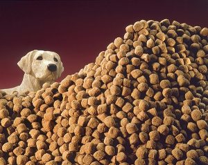 mountain-of-kibble