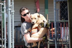 woman rescuing dog_dog fighting