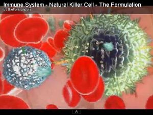 NK-Cell