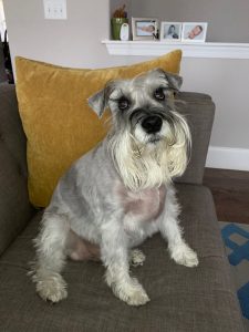Winston