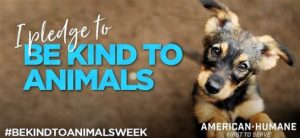 Be Kind to Animals Week