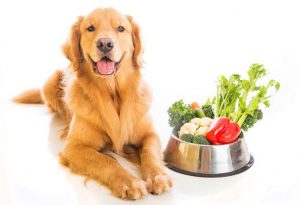 dog-food-vegetables