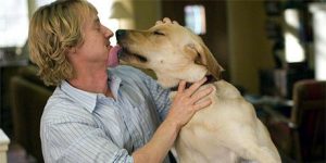Marley and Me