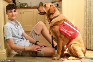 Just last month, Beau sprang into action as the pair travelled on the train home after a shopping trip, nudging his knee with his nose. ‘Then he put his chin on my legs and licked my knee. It was obvious that he was trying to tell me something,’ remembers David. A finger-prick check revealed that Beau, adopted by the family 18 months ago, was correct – he’d detected the telltale isoprene in David’s breath. Immediately, David took a swig of full-sugar cola, preventing a devastating collapse