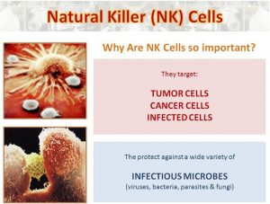 NaturalKillerCells